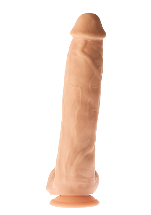 Dream Toys Mr Dixx Giant Gio, Realistic Flexible Dildo, Suction Cup, Ρεαλιστικό Dildo με Όρχεις και Βεντούζα, 30cm, Flesh