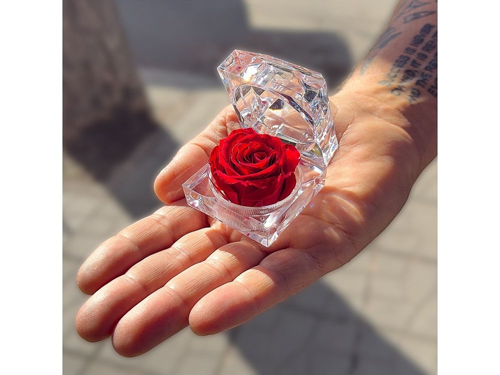 Rose Amor – Eternal Love Rose, Long-Lasting 100% Natural Rose, Aθάνατο Αρωματικό Τριαντάφυλλο Δώρο σε Θήκη Διαμάντι