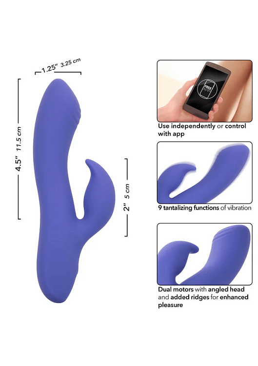 Calex Connect Dual Stimulator Clitoral Stimulation and G Spot 2-1 Vibrator, Purple