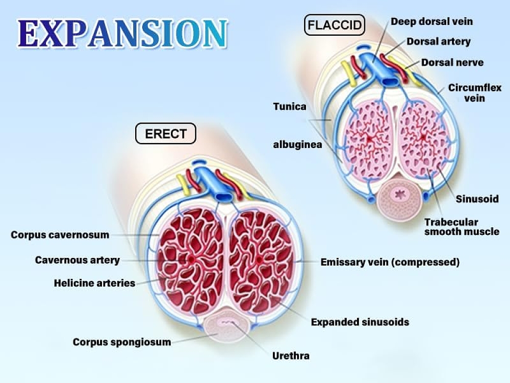 SMD Enlarger, Penis Enlarge Vacuum Pump with 4 Suction Intensities, Τρόμπα Μεγέθυνσης Πέους