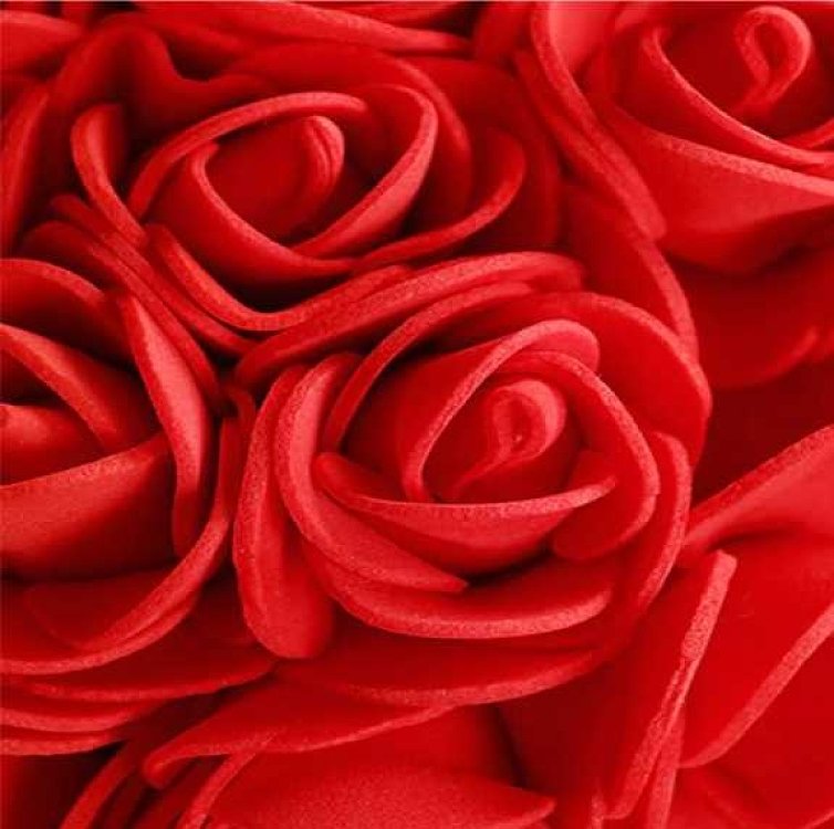 Forever Rose Teddy Love Gift, Χειροποιήτο Διακοσμητικό Αρκουδάκι με Τριαντάφυλλα 25εκ, Red/Κόκκινο