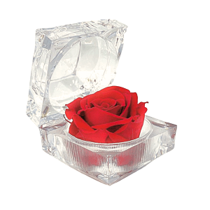 Rose Amor – Eternal Love Rose, Long-Lasting 100% Natural Rose, Aθάνατο Αρωματικό Τριαντάφυλλο Δώρο σε Θήκη Διαμάντι