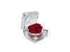 Rose Amor – Eternal Love Rose, Long-Lasting 100% Natural Rose, Aθάνατο Αρωματικό Τριαντάφυλλο Δώρο σε Θήκη Διαμάντι