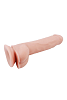 Dream Toys Mr Dixx, Dual Density Realistic Bendable Dildo with Suction Cup, Realistic Penis with Suction Cup, 23cm, Flesh