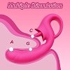 SMD Double Trouble Clitoral Licking and G Spot Vibrator 2-in1, Double Vibrator with 10 Vibrating Modes, Fuchsia