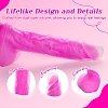 Tracy’s Dog JeliVoy Realistic Dildo 21cm, Thrusting & Heating Function, Remote control, Rose