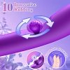 SMD Aurora Rabbit Swinging Silicone Vibrator, 7 Vibration Modes & 10 G-Spot Stimulation Modes, 24cm, Royal Purple