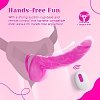 Tracy’s Dog JeliVoy Realistic Dildo 21cm, Thrusting & Heating Function, Remote control, Rose