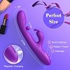 SMD Aurora Rabbit Swinging Silicone Vibrator, 7 Vibration Modes & 10 G-Spot Stimulation Modes, 24cm, Royal Purple
