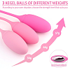 SMD Elysia, Silicone Kegel Training Balls, Κολπικές Μπάλες Εκγύμνασης από Σιλικόνη, Σετ των 3, Blush Pink