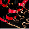 SMD Autorite Totale – Premium BDSM Bondage & Restraint Set  8 Accessories, Πλήρες BDSM Set με 8 Accessories, Red/Gold